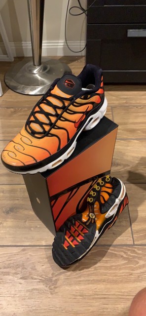 og sunset tns